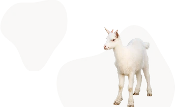 Для мелкого РС