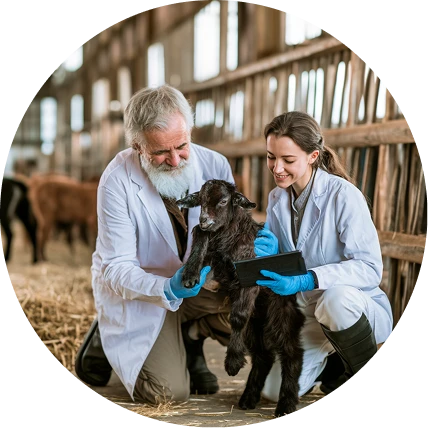 Консультация специалиста